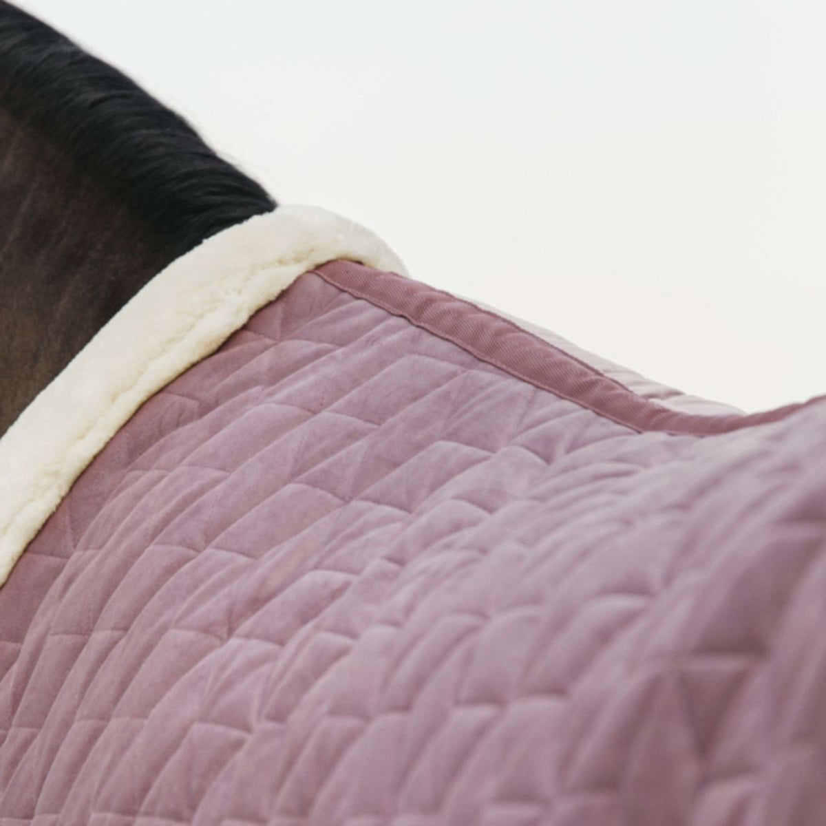 Kentucky Horsewear Coperta da esposizione Velvet Rosa antico