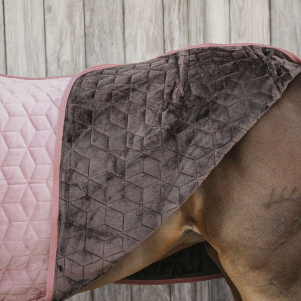 Kentucky Horsewear Coperta da esposizione Velvet Rosa antico