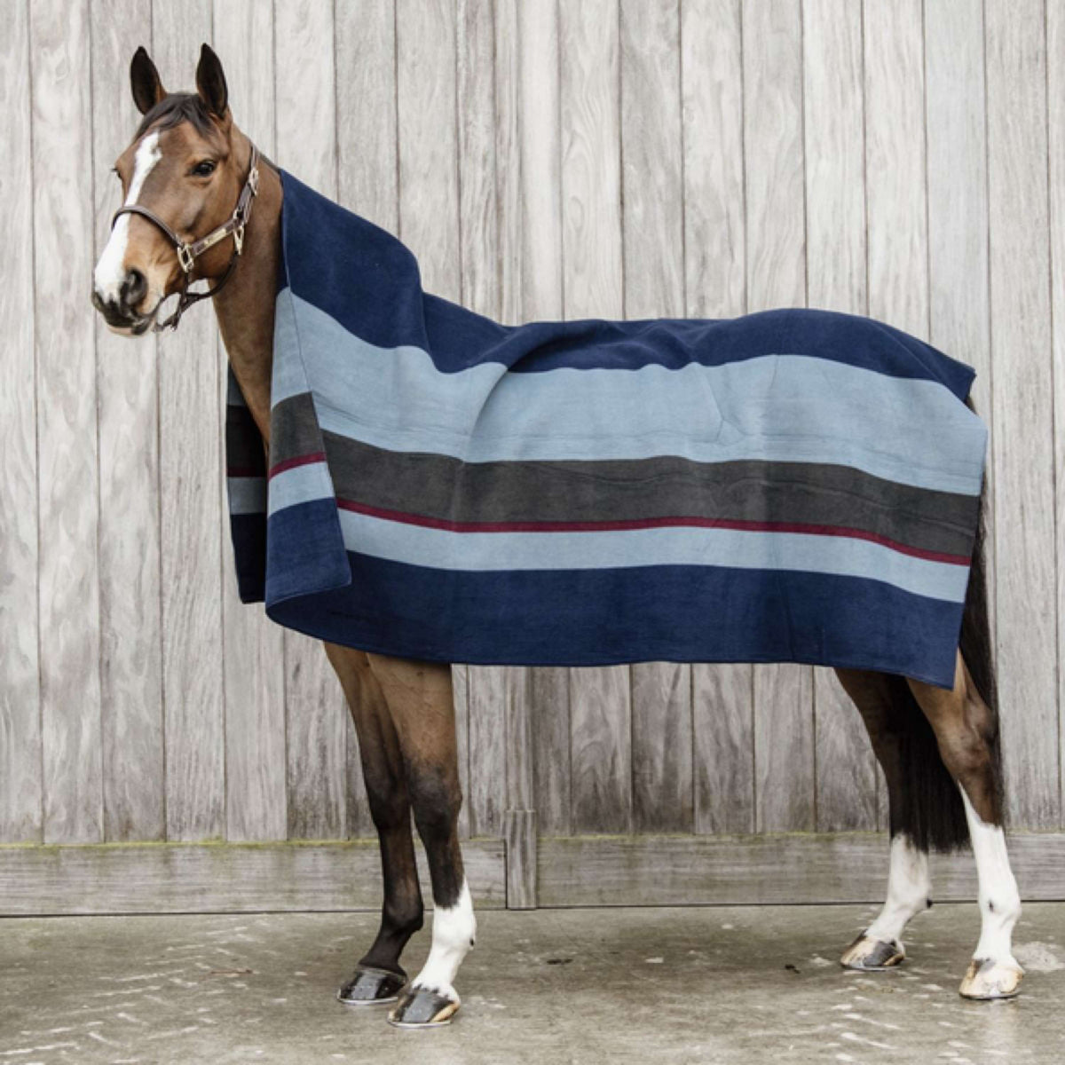 Kentucky Horsewear Coperta in Pile Heavy Square Stripes Punti blu scuro/grigi