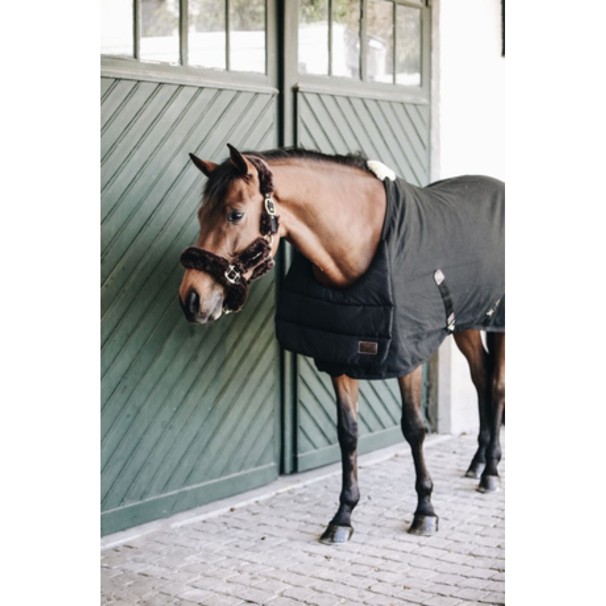 Kentucky Horsewear Bib Estate Nero