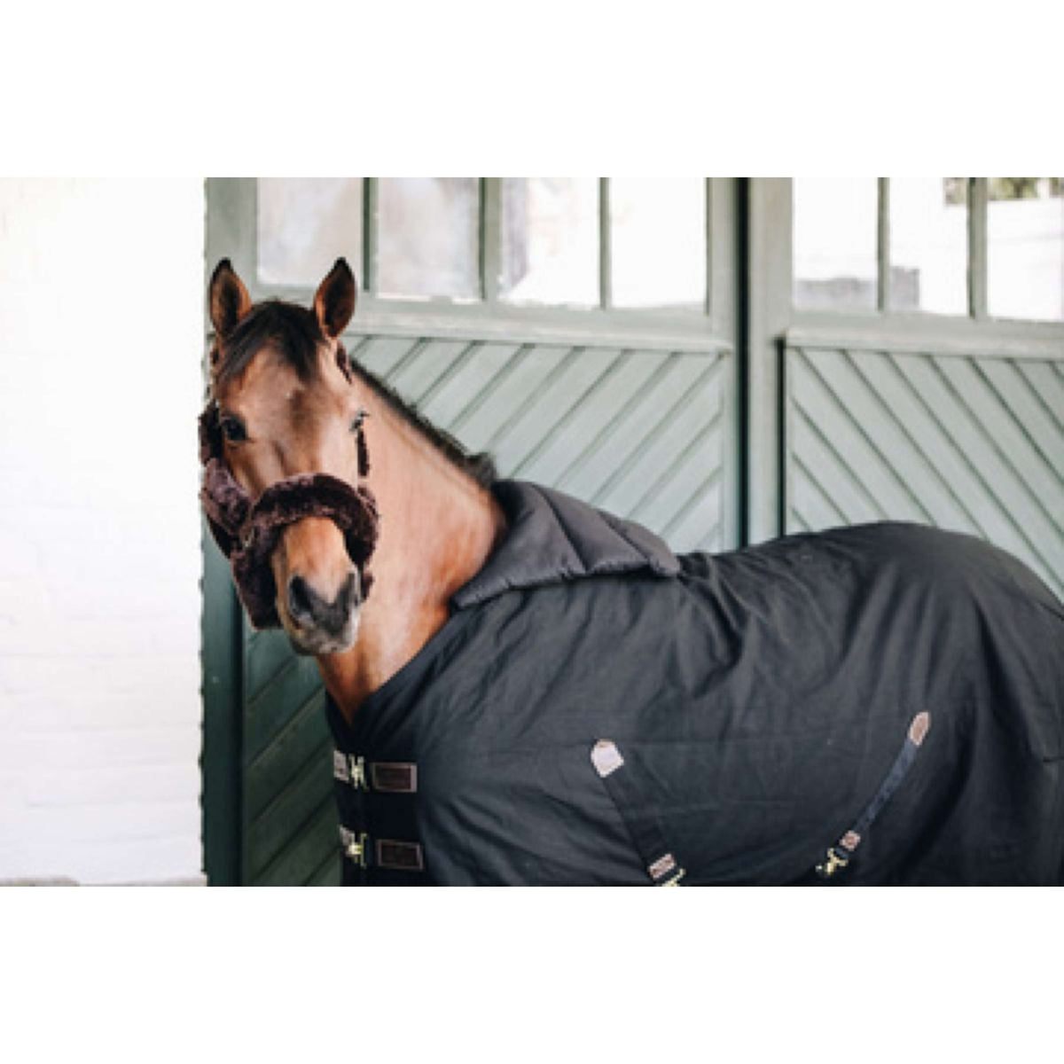 Kentucky Horsewear Bib Estate Nero