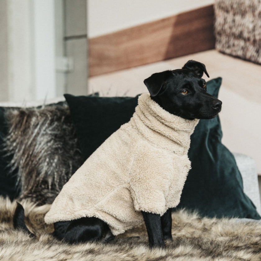 Kentucky Dogwear Maglione Beige