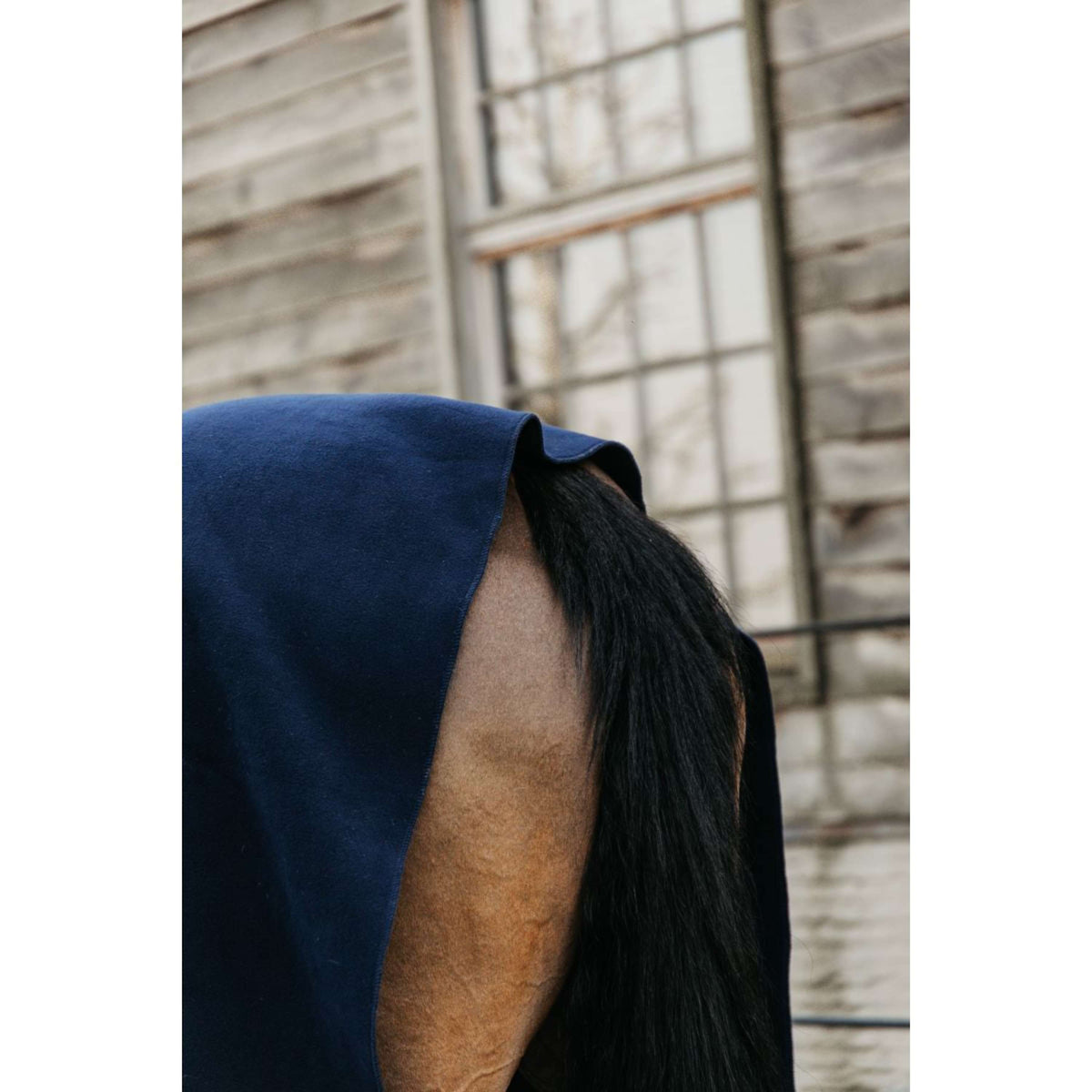 Kentucky Horsewear Coperta in Pile Heavy Square Navy