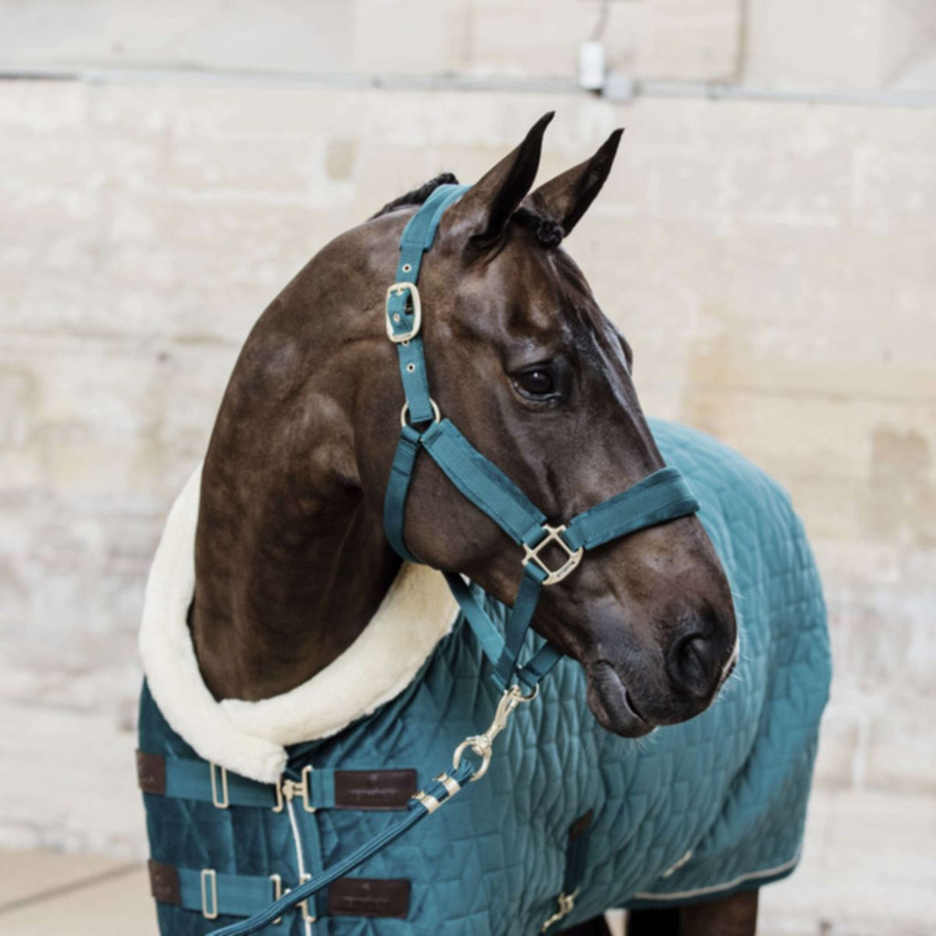 Kentucky Horsewear Cavezza Velvet Smeraldo