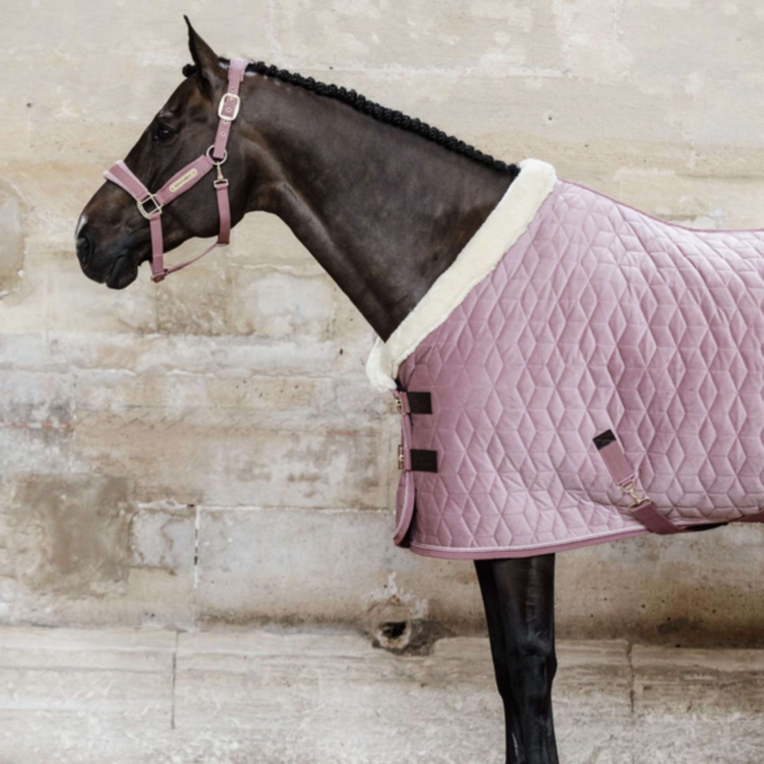 Kentucky Horsewear Coperta da esposizione Velvet Rosa antico Kentucky Horsewear Coperta da esposizione Velvet Rosa antico