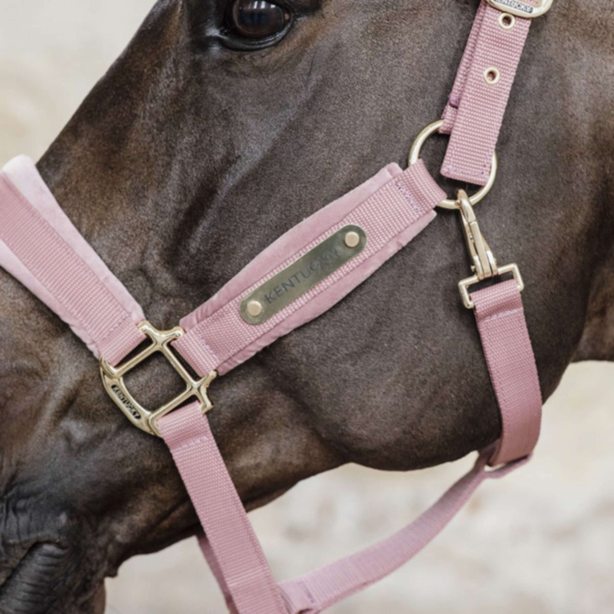 Kentucky Horsewear Capezzina Velvet Rosa antico