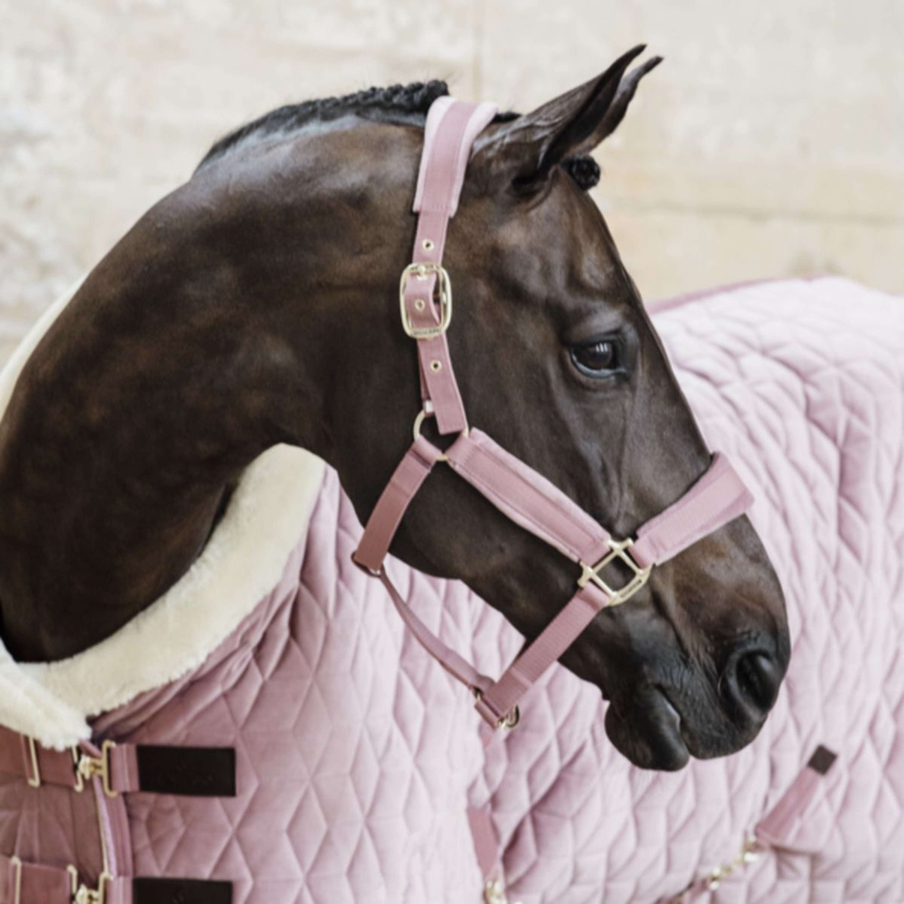 Kentucky Horsewear Cavezza Velvet Rosa antico