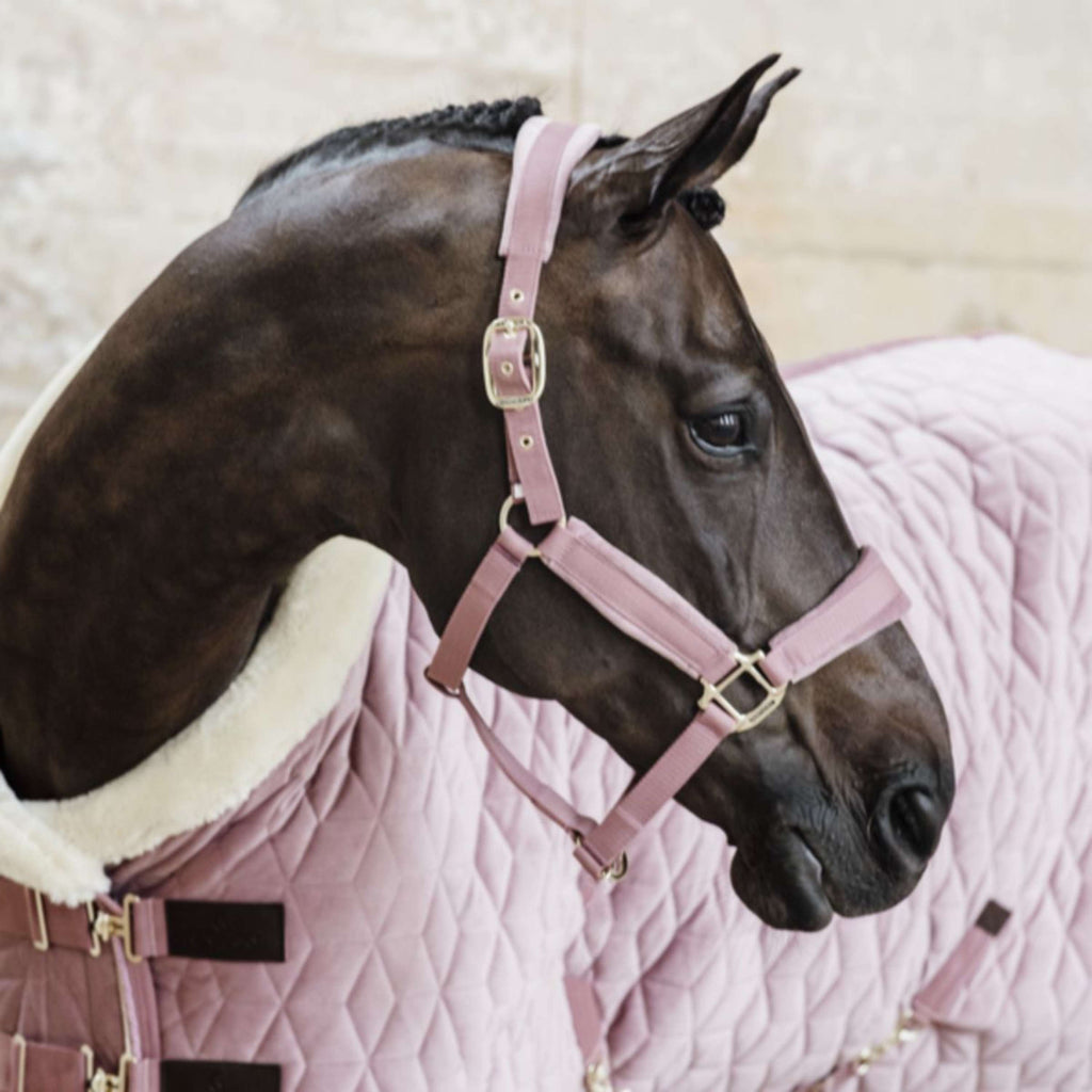 Kentucky Horsewear Cavezza Velvet Rosa antico