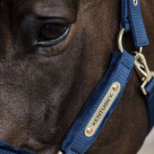 Kentucky Horsewear Capezzina Velvet Navy