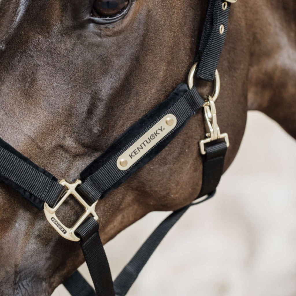 Kentucky Horsewear Cavezza Velvet Nero