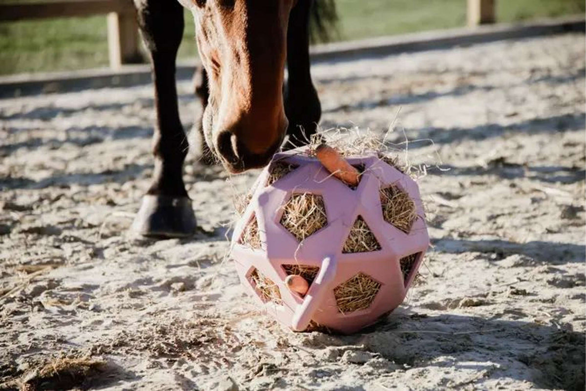 Kentucky Horsewear Pallone da Gioco Play & Hay Rosa antico