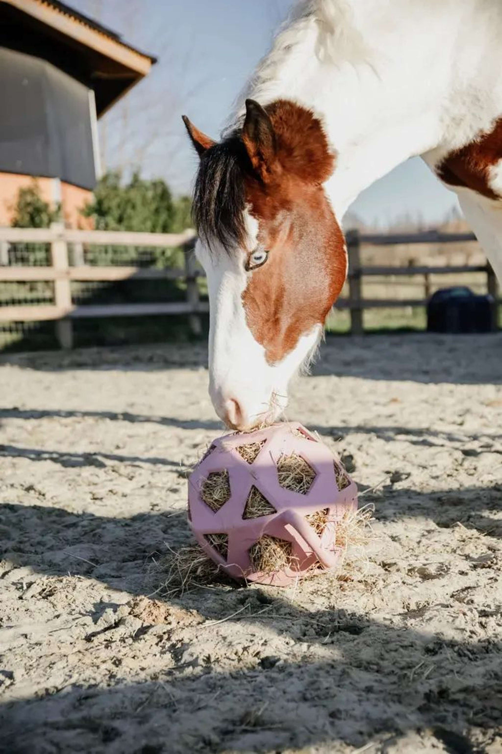 Kentucky Horsewear Pallone da Gioco Play & Hay Rosa antico
