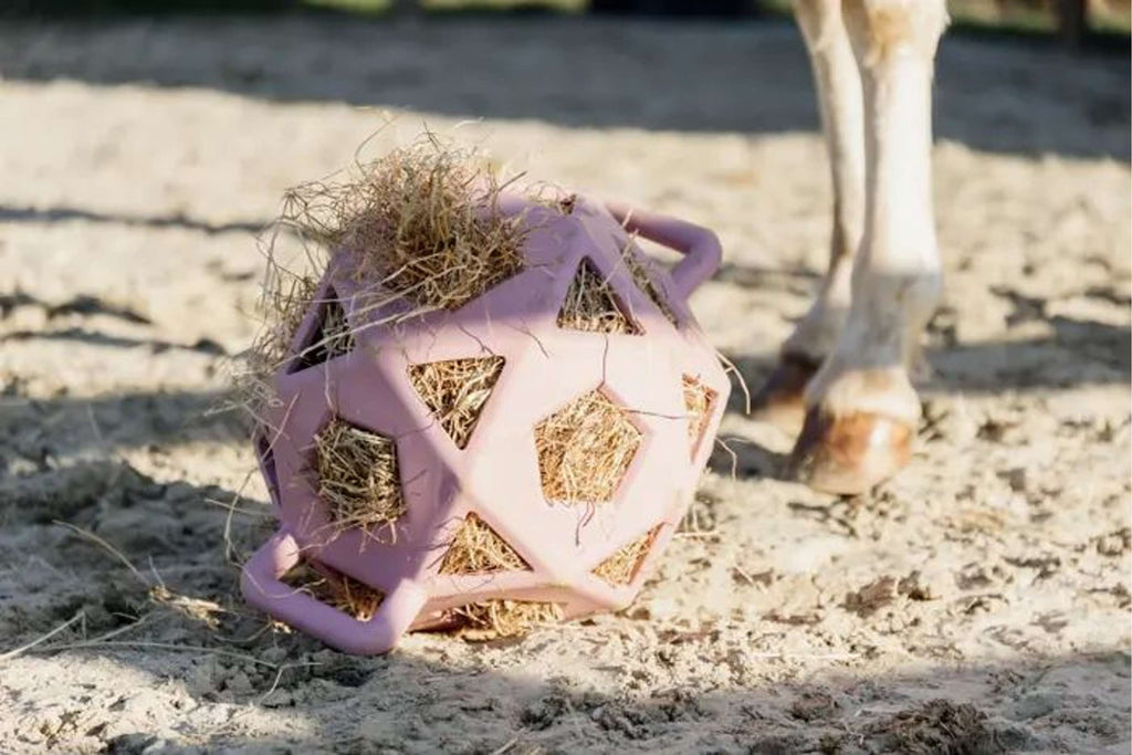 Kentucky Horsewear Pallone da Gioco Play & Hay Rosa antico