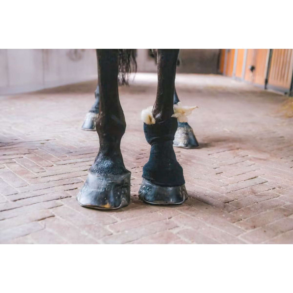 Kentucky Horsewear Lana terapeutica Bianco