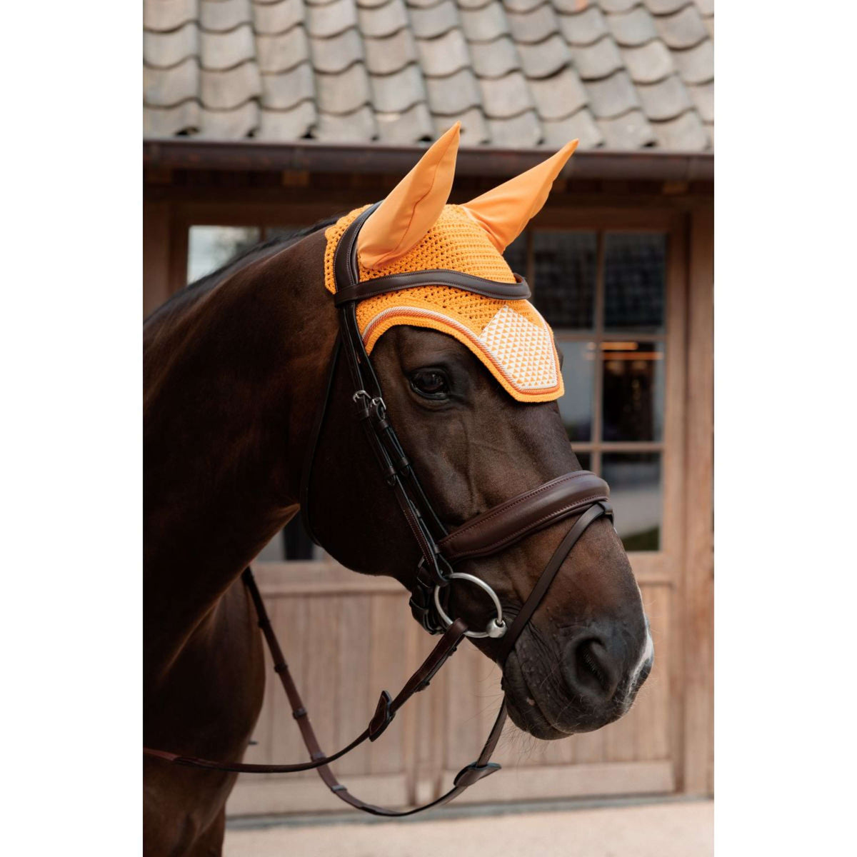 Kentucky Cuffietta Wellington Velvet Flags Arancia