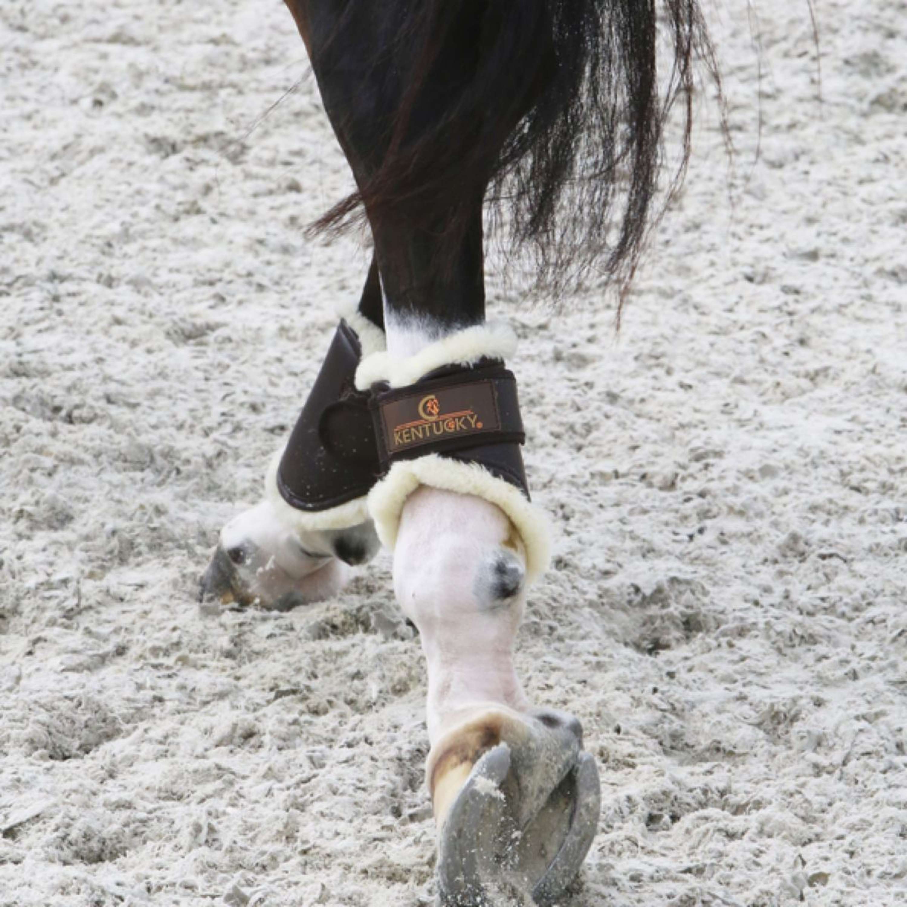 Kentucky Horsewear Parastinchi Marrone