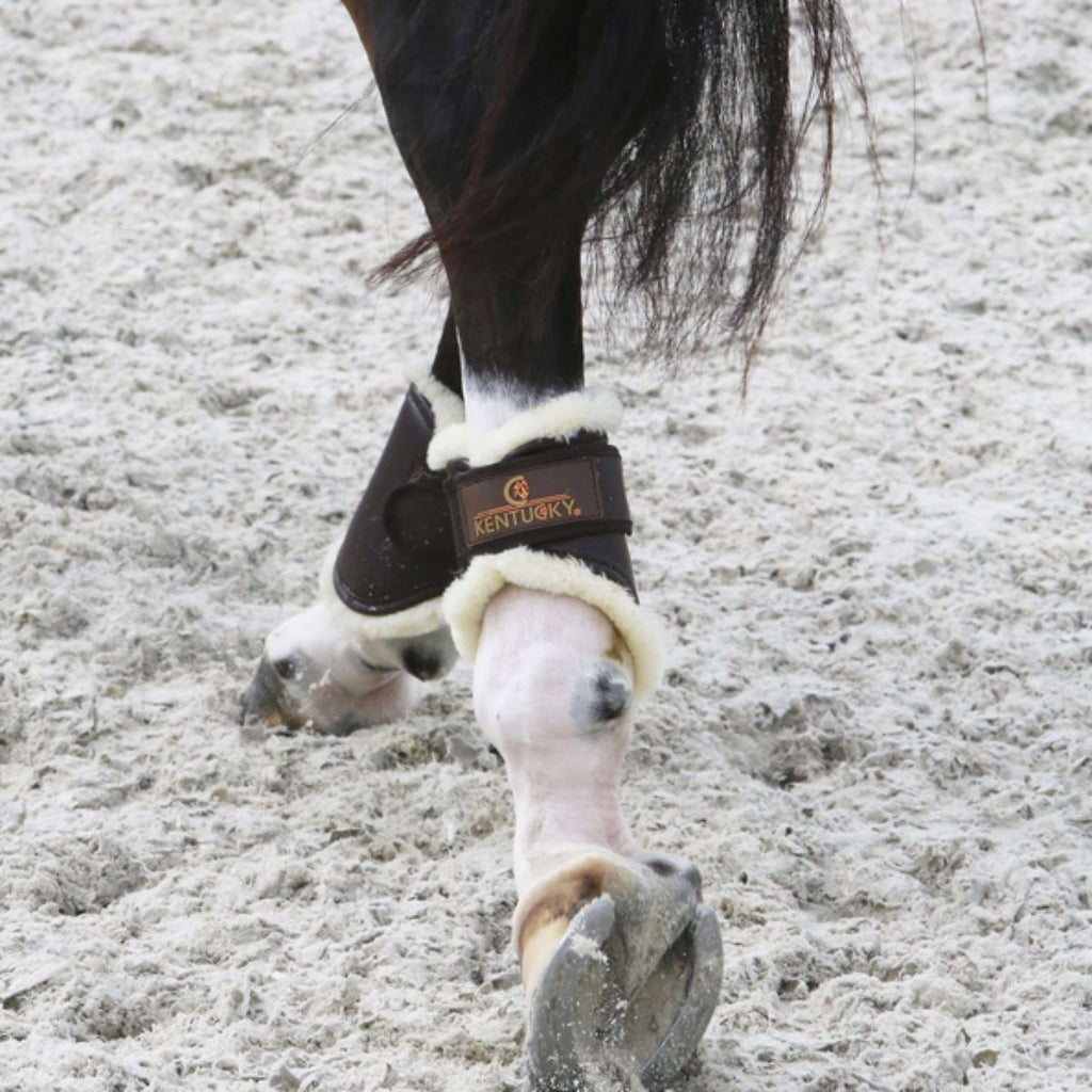 Kentucky Horsewear Parastinchi Marrone