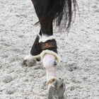 Kentucky Horsewear Parastinchi Marrone