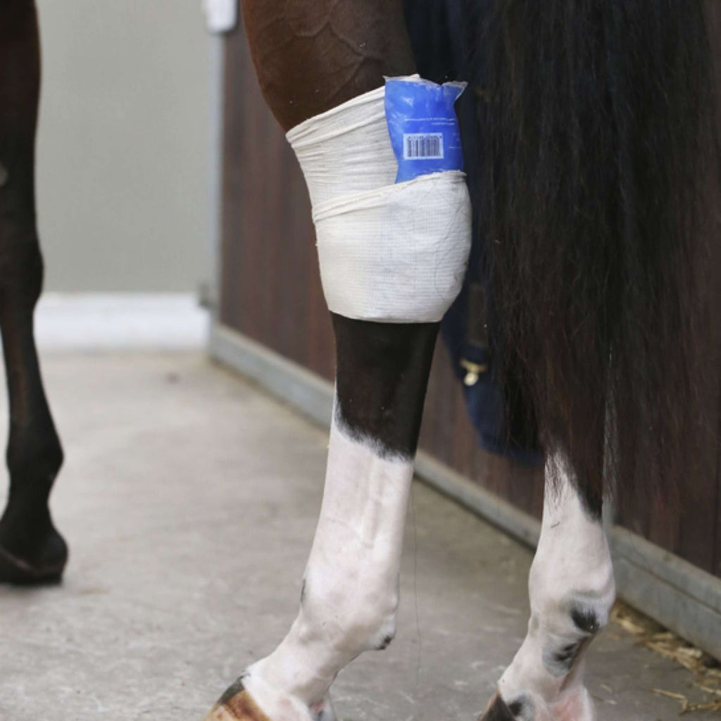 Kentucky Horsewear Calzini da equitazione Tendon Grip Beige