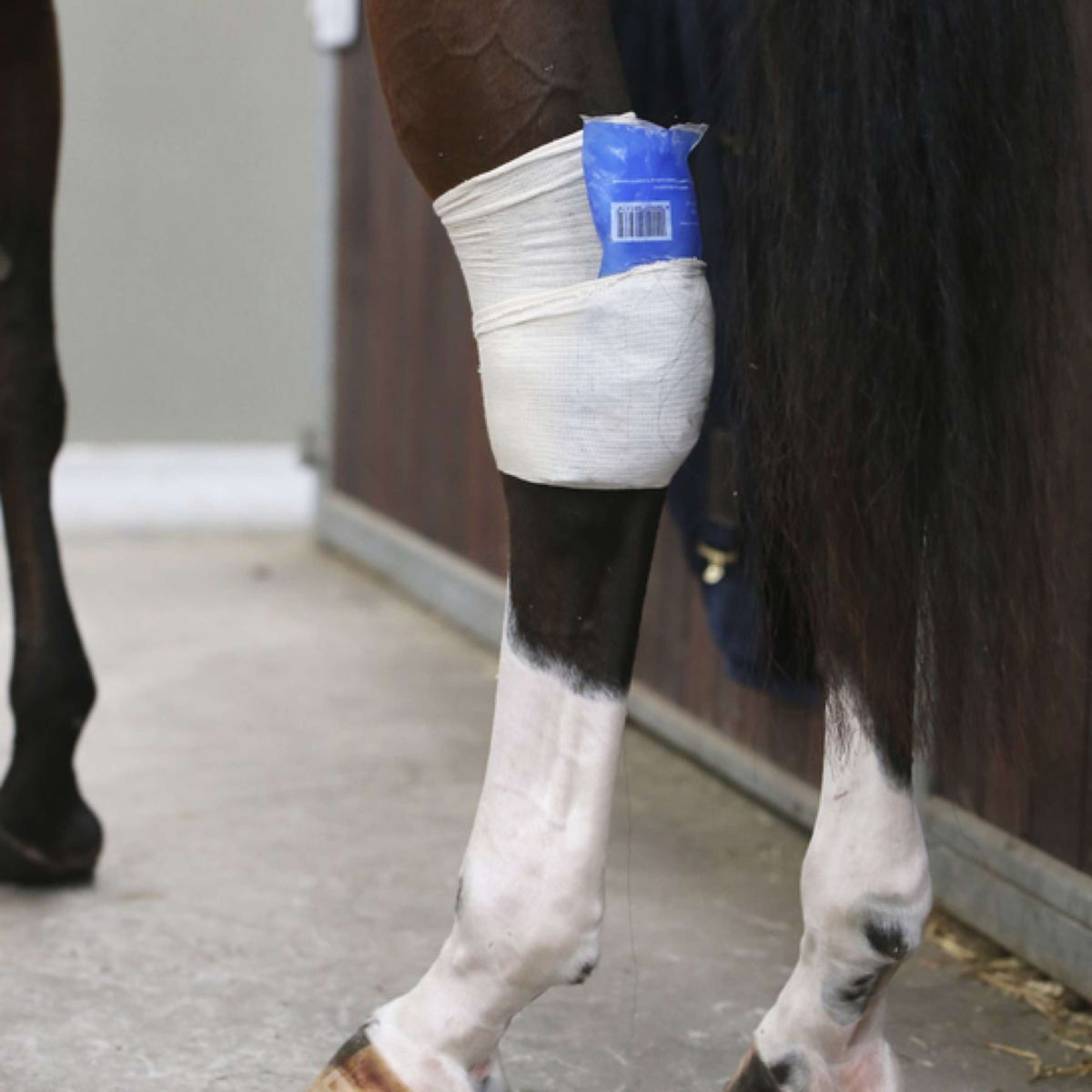 Kentucky Horsewear Calzini da equitazione Tendon Grip Beige