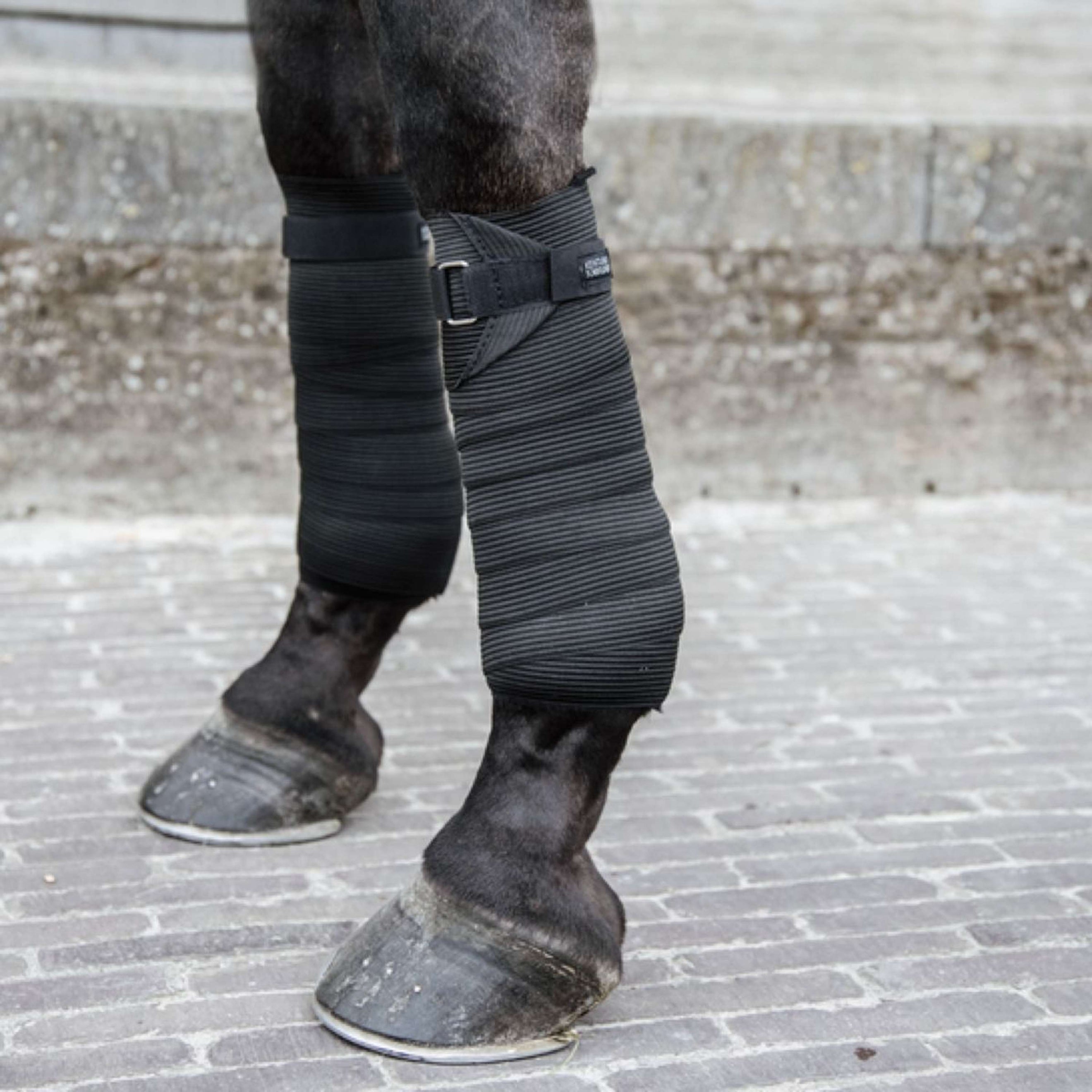 Kentucky Horsewear Bende Elastic Nero Kentucky Horsewear Bende Elastic Nero
