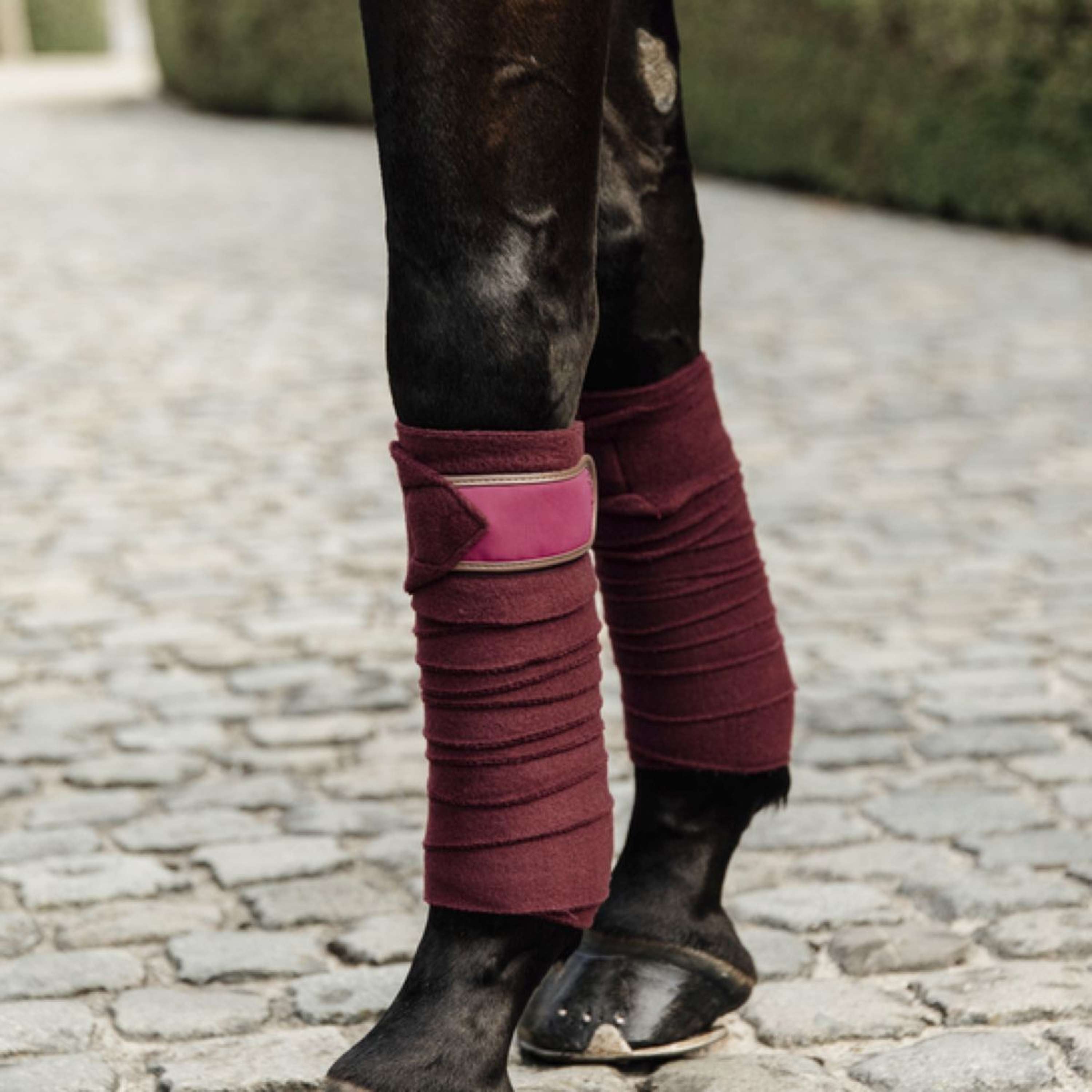 Kentucky Horsewear Bende Bordeaux