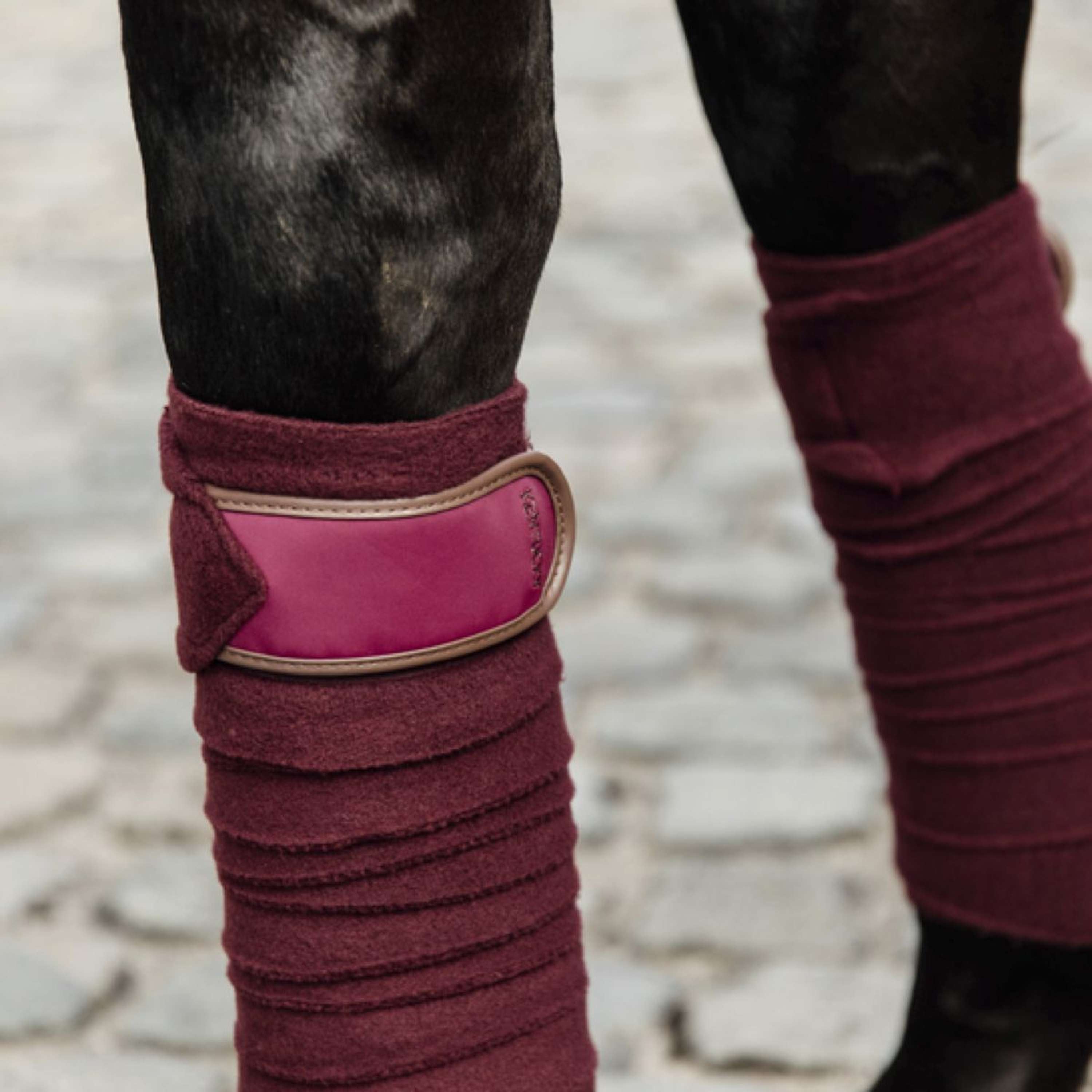 Kentucky Horsewear Bende Bordeaux