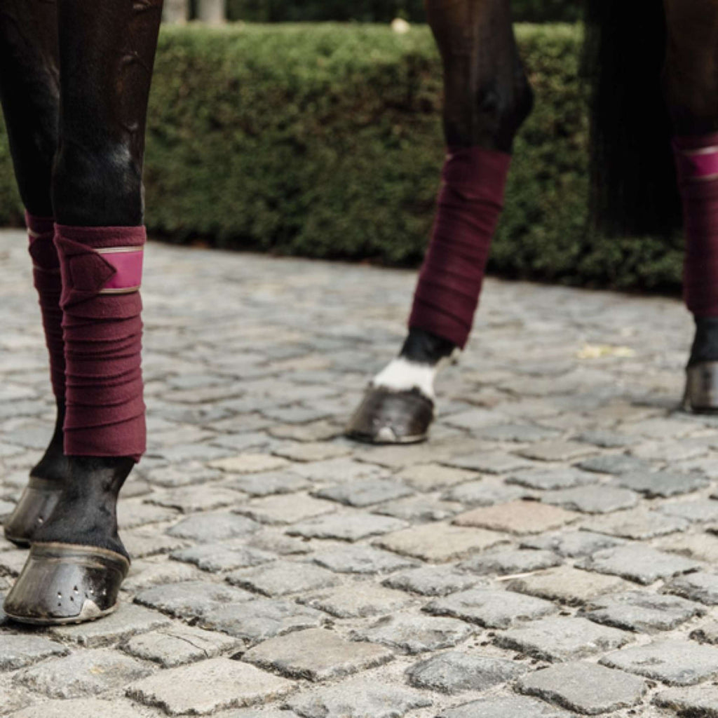 Kentucky Horsewear Bende Bordeaux