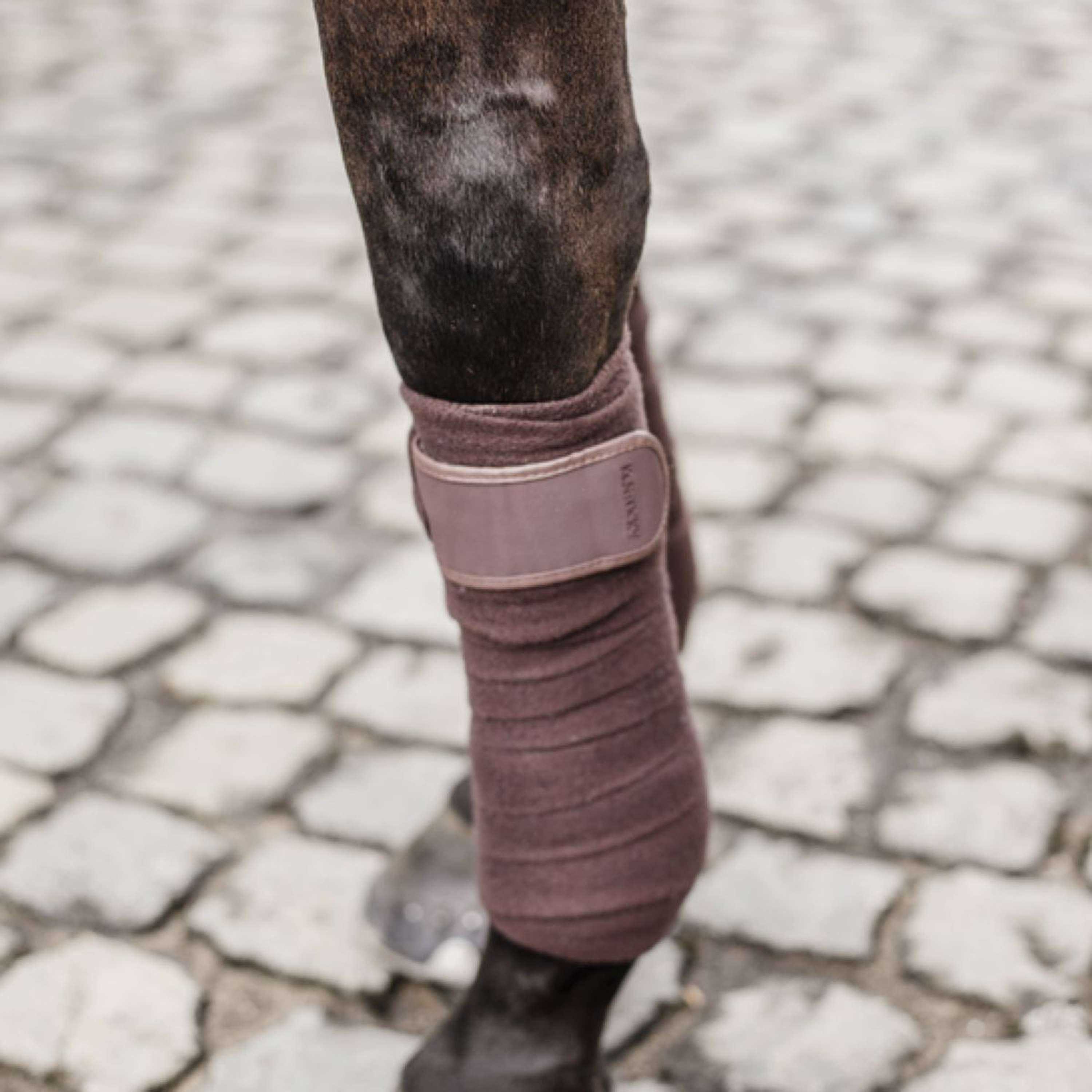 Kentucky Horsewear Bende Marrone