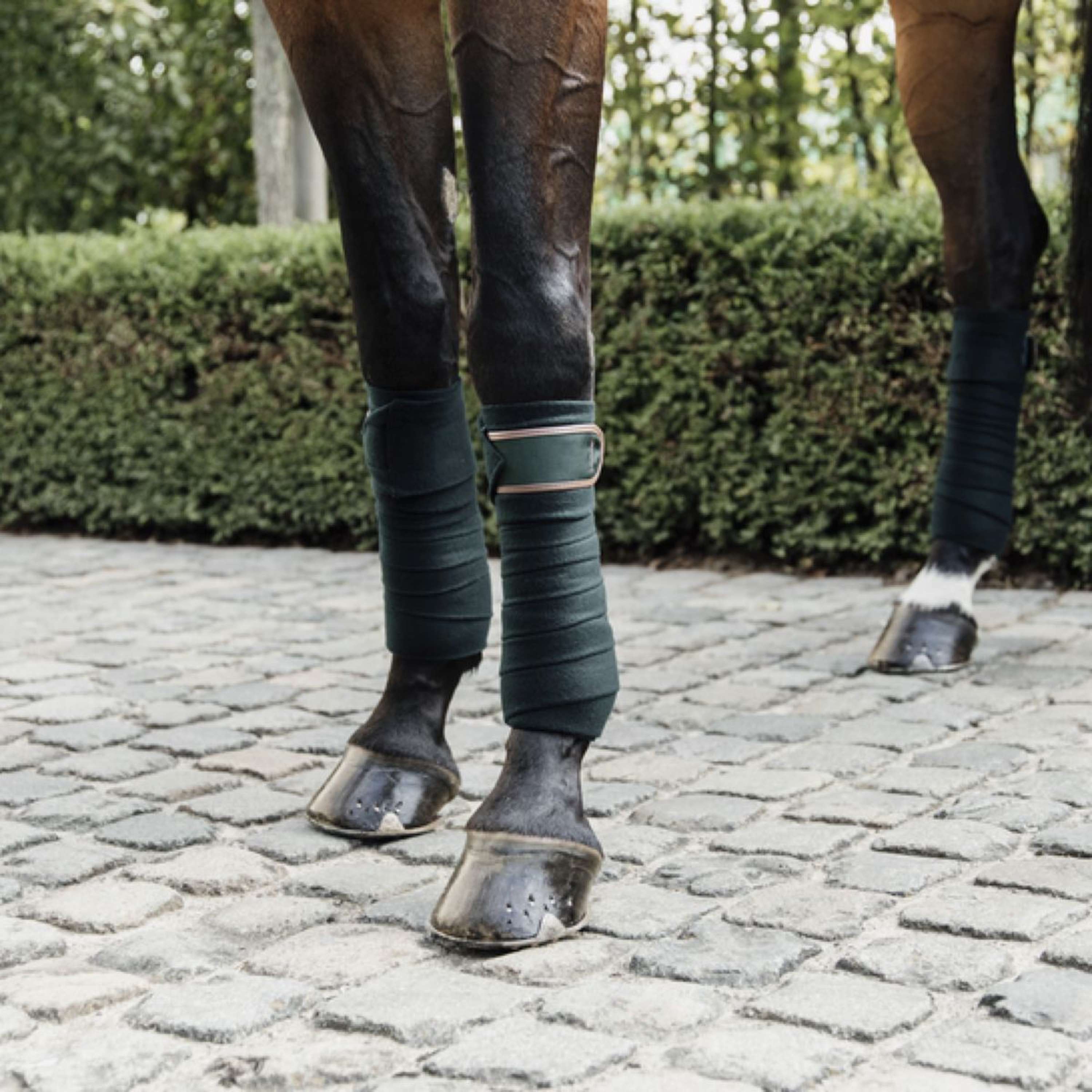 Kentucky Horsewear Bende Verde