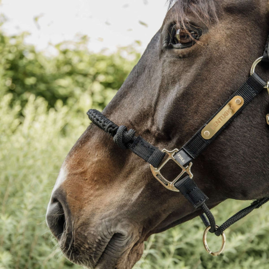 Kentucky Horsewear Cavezza di controllo Nylon Nero
