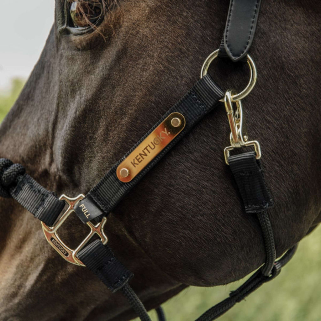 Kentucky Horsewear Cavezza di controllo Nylon Nero
