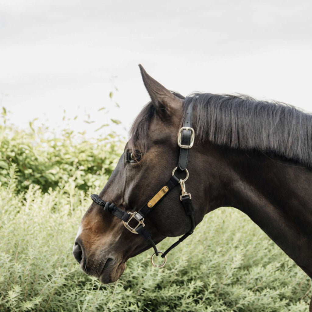 Kentucky Horsewear Cavezza di controllo Nylon Nero