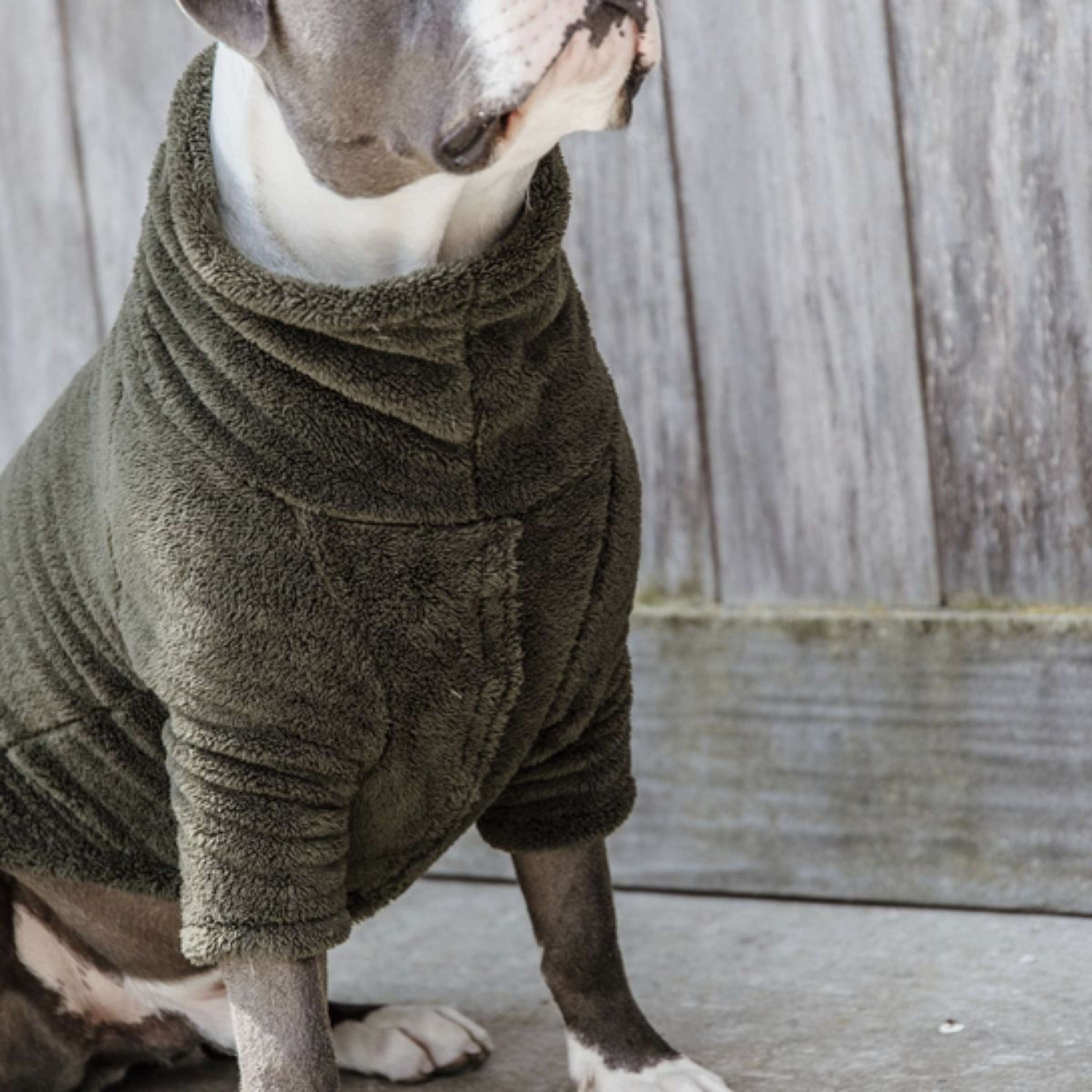 Kentucky Dogwear Maglione per cani Teddy Fleece Pine Green
