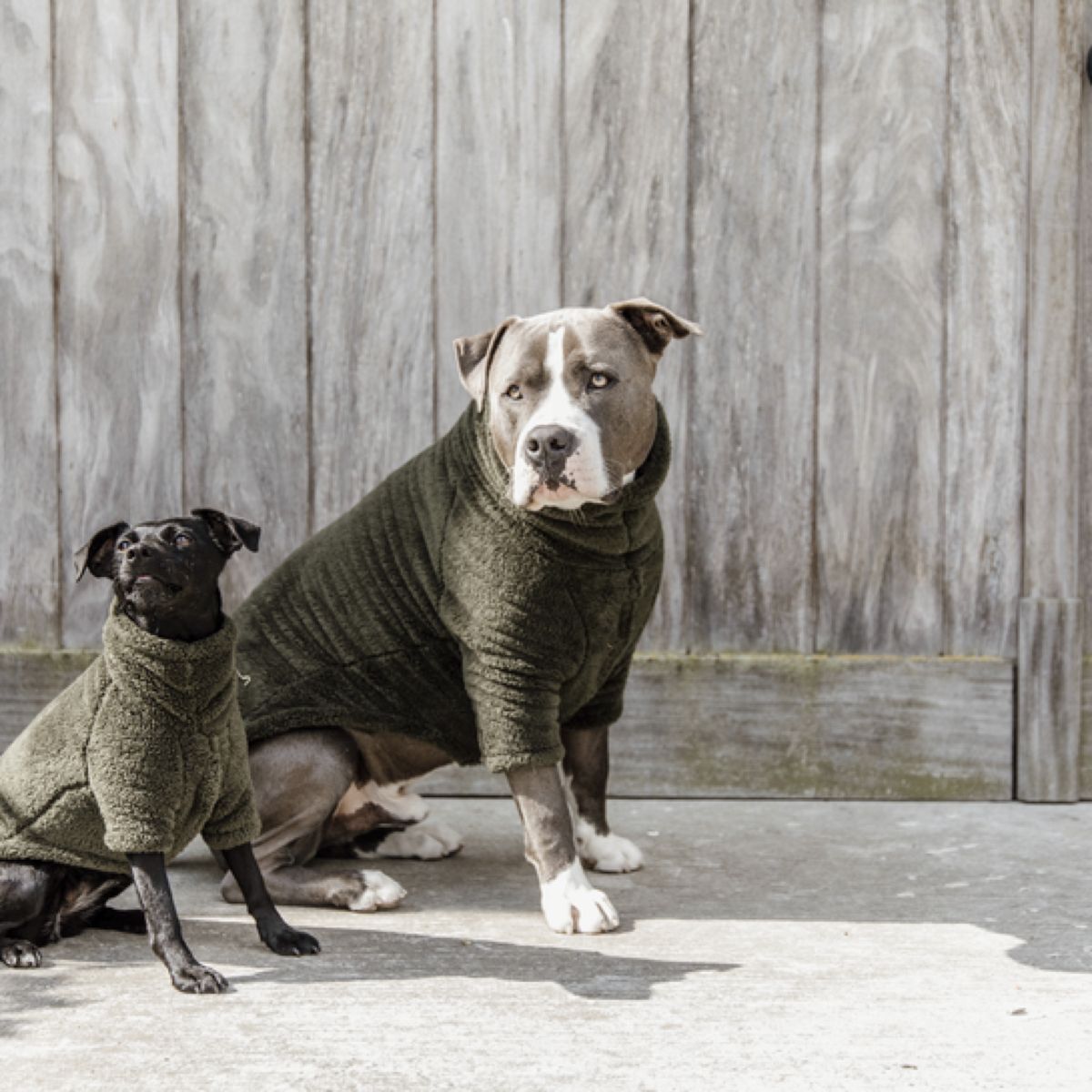 Kentucky Dogwear Maglione per cani Teddy Fleece Pine Green