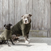 Kentucky Dogwear Maglione per cani Teddy Fleece Pine Green