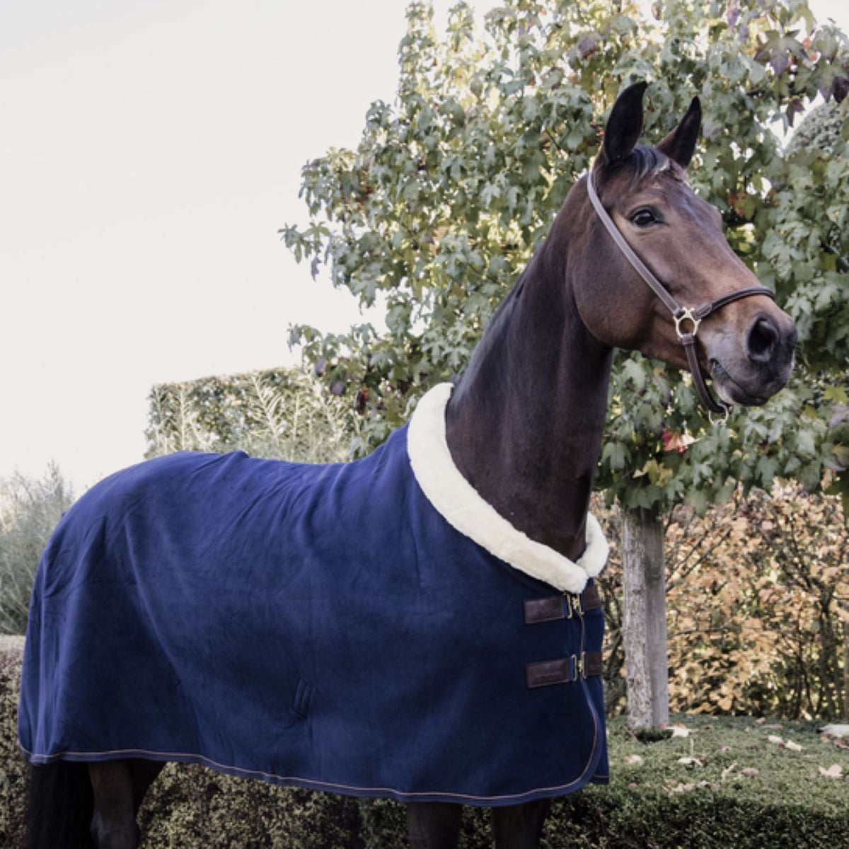 Kentucky Horsewear Coperta antisudore Show Fleece Heavy Navy