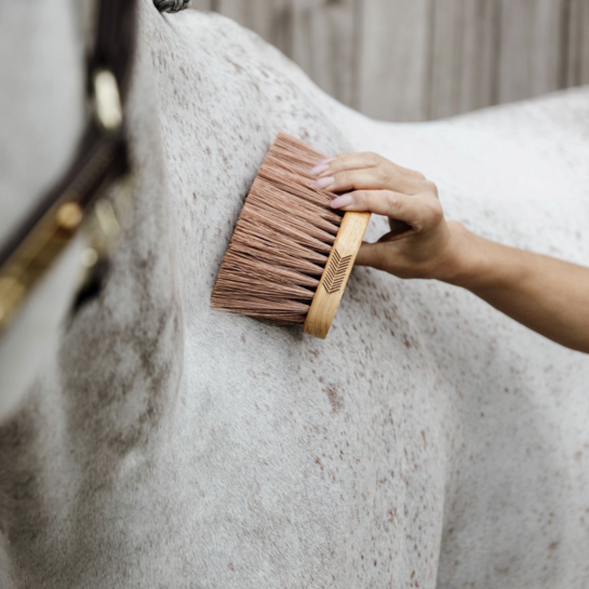 Grooming Deluxe by Kentucky Spazzola Media Marrone