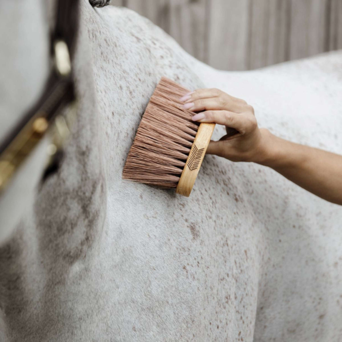 Grooming Deluxe by Kentucky Spazzola Media Marrone