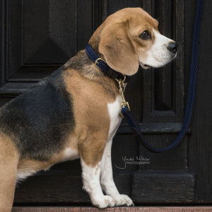 Kentucky Horsewear Halsband Nylon intrecciato per cani Navy