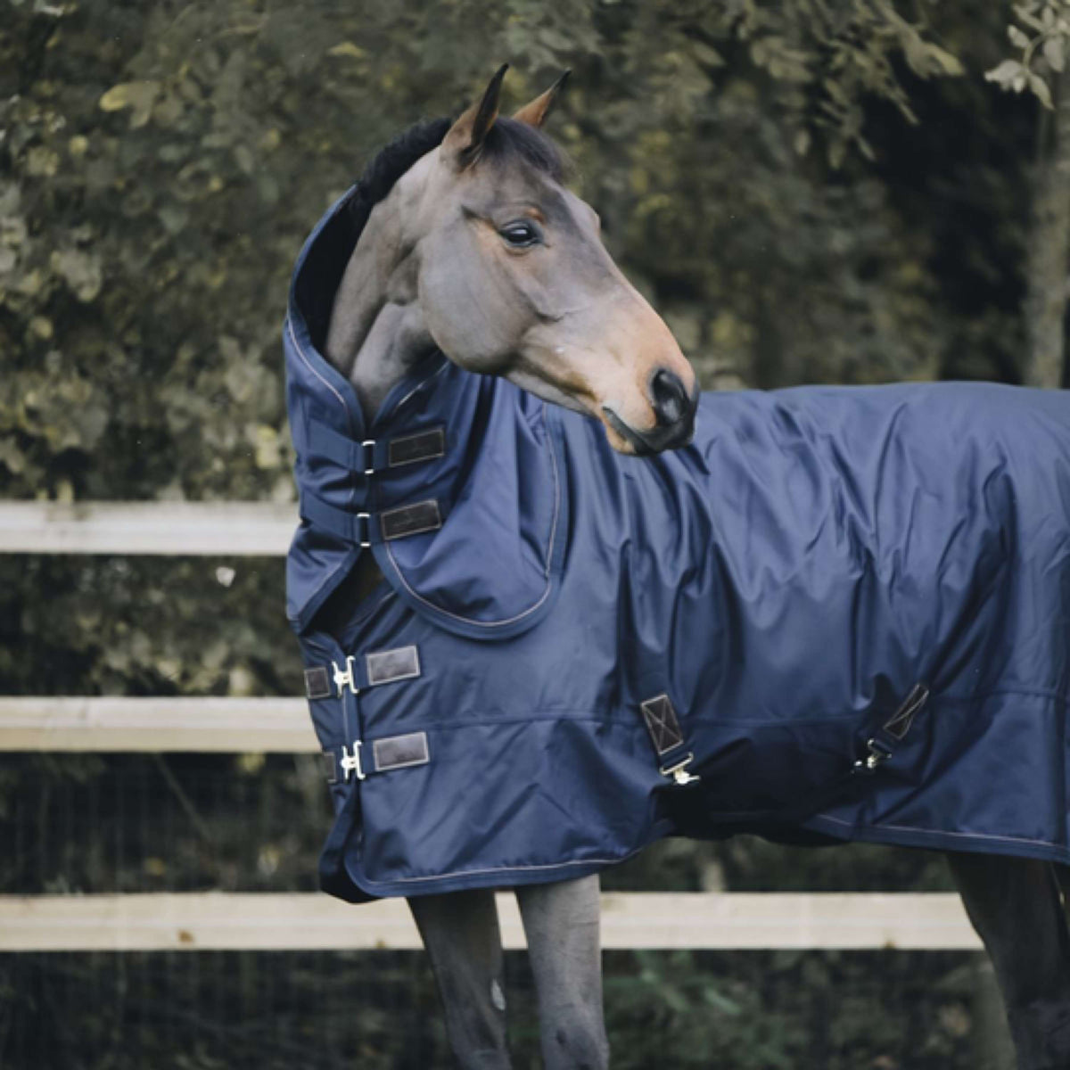 Kentucky Horsewear Copricollo All Weather 150g Navy