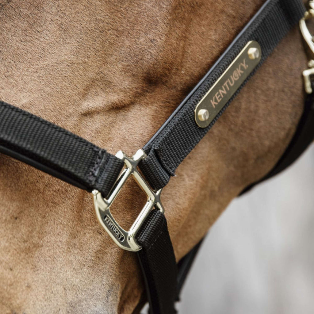 Kentucky Horsewear Cavezza Anatomic Nylon Nero