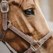 Kentucky Horsewear Capezzina Marrone