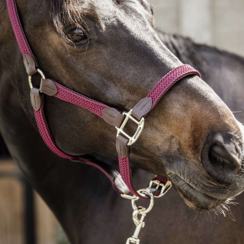 Kentucky Horsewear Cavezza Nylon intrecciato Bordeaux