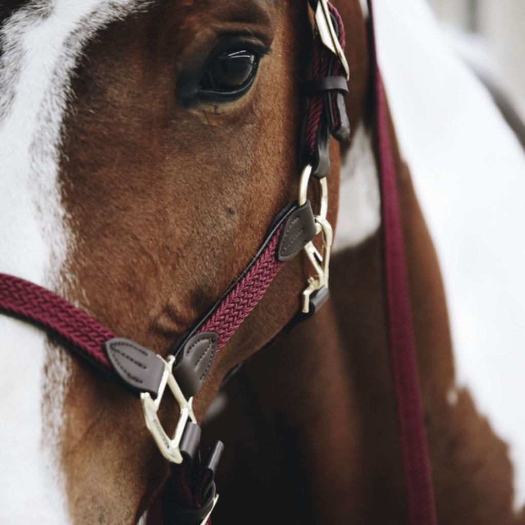 Kentucky Horsewear Cavezza Nylon intrecciato Bordeaux