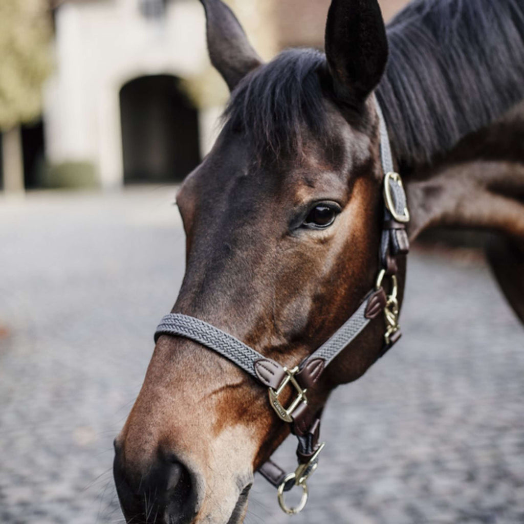Kentucky Horsewear Cavezza Nylon intrecciatoGrigio