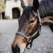 Kentucky Horsewear Capezzina Grigio