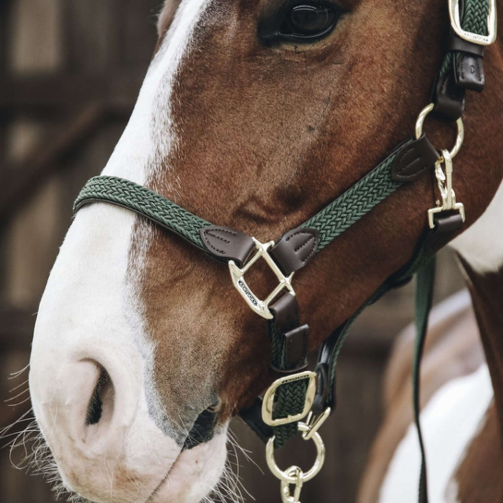 Kentucky Horsewear Cavezza Nylon intrecciato Verde Oliva