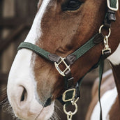 Kentucky Horsewear Capezzina Verde Oliva