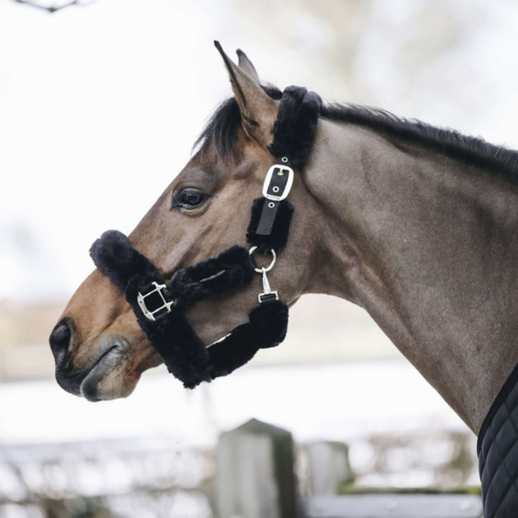 Kentucky Horsewear Cavezza Sheepskin Nero